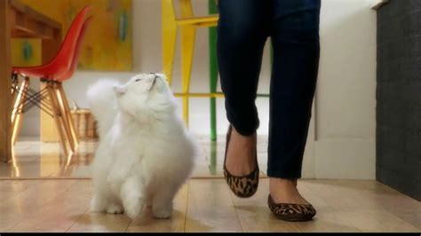 Fancy Feast Delights with Cheddar TV Spot, 'Cheese Tray'