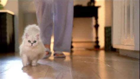 Fancy Feast Gourmet Cat Food TV Spot, 'Mornings' created for Fancy Feast