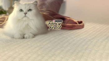 Fancy Feast Gourmet Naturals Recipes TV Spot, 'Delightfully Easy'