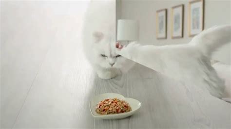 Fancy Feast Gourmet Naturals TV Spot, 'Delightful'