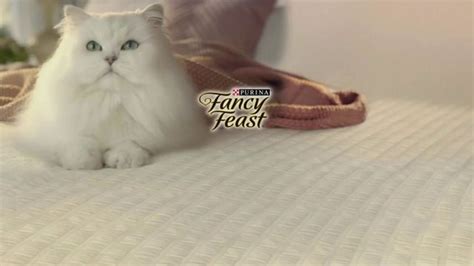 Fancy Feast TV Spot, 'Delightful: Medleys' featuring Erin Anderson