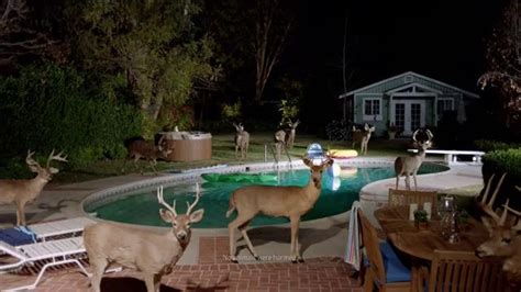 Farmers Insurance TV Spot, 'Hall of Claims: Stag Pool Party' featuring Norman Lehnert