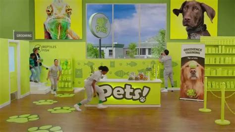 Fast Signs TV Spot, 'Pets'