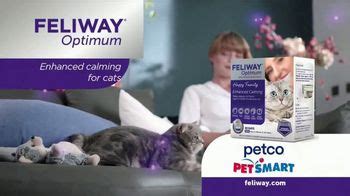 Feliway Optimum TV commercial - A Much Calmer Cat