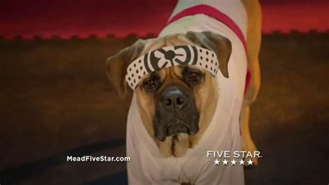 Five Star Flex TV Spot, 'Cinco the Dog vs. Five Star Flex'