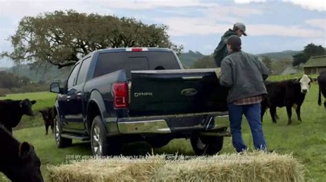 Ford TV Spot, 'Protective and Hard Working' [T1]