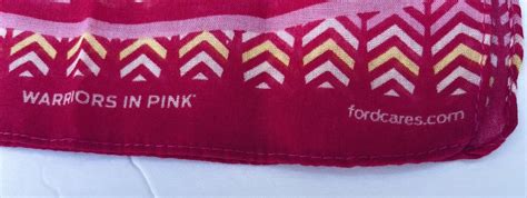 Ford Warriors in Pink Symbols of Joy Scarf logo