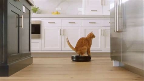 Fresh Step Clean Paws TV Spot, 'Cat on Glass' created for Fresh Step