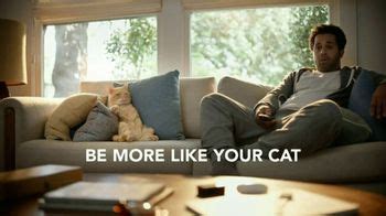 Fresh Step Outstretch TV Spot, 'Be More Like Your Cat'