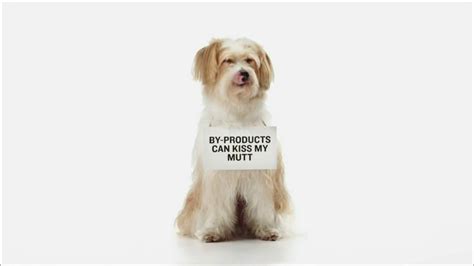 Freshpet TV Commercial For Vital