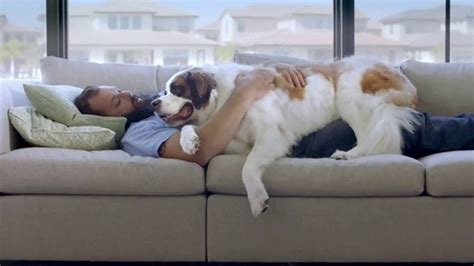 Freshpet TV Spot, 'Home'