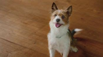 Freshpet TV Spot, 'In-Laws' created for Freshpet