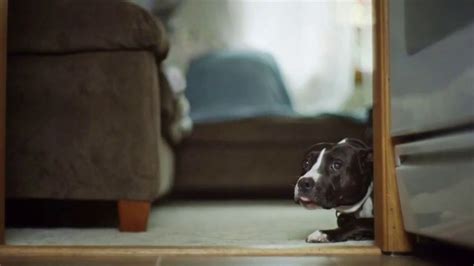 Freshpet TV Spot, 'The Story of Princess' created for Freshpet