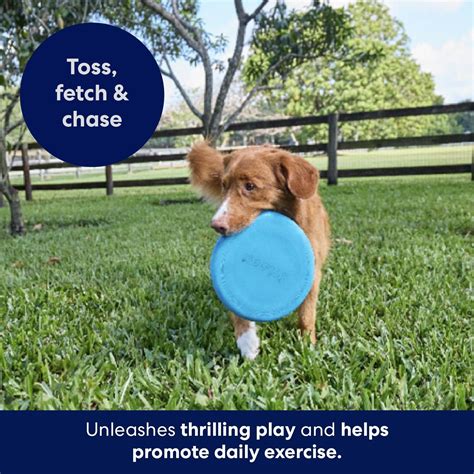 Frisco Fetch Rubber Flyer Dog Toy tv commercials