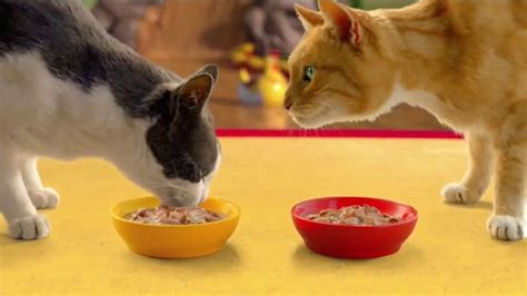 Friskies Extra Gravy Chunky TV Spot, 'Purradise' featuring Jon Everry