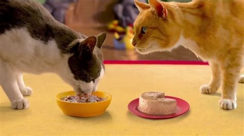 Friskies Extra Gravy Pate and Chunky TV commercial - Friskies World