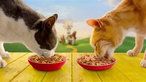 Friskies Farm Favorites TV commercial - El mundo de Friskies