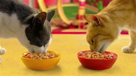 Friskies Gravy Swirlers TV commercial - Crunchy Gravy