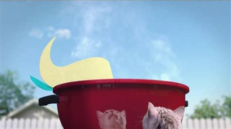 Friskies Grillers Tender & Crunchy TV commercial