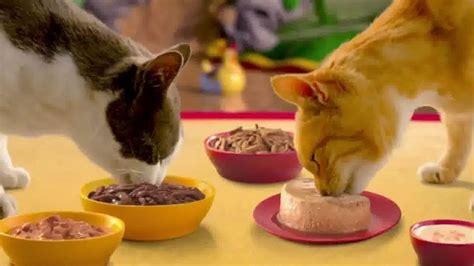 Friskies TV Spot, 'Friskies World' featuring Deshja Driggs-Hall