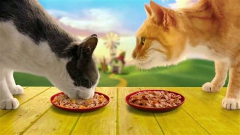 Friskies TV Spot, 'Friskies World: Keeps Getting Better' featuring Jon Everry