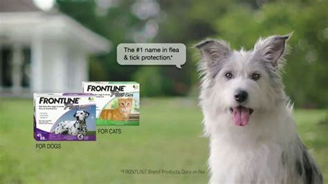Frontline Plus TV Spot, 'For All Types of Dogs'