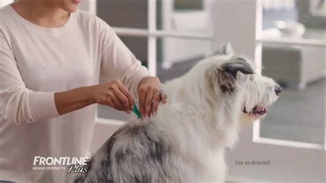 Frontline Plus TV Spot, 'For Dogs and Cats' created for Frontline