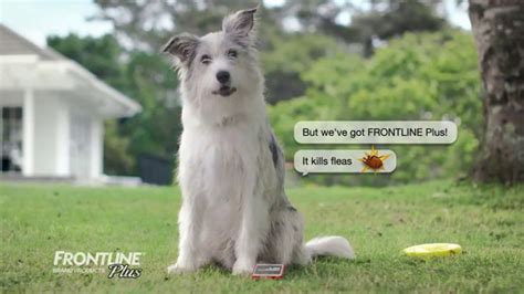 Frontline Plus for Dogs TV Spot, 'Flea Fighter'