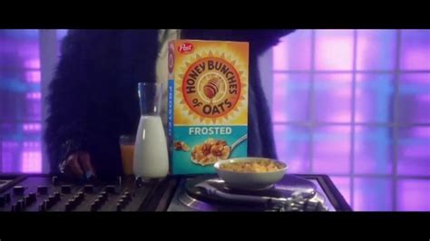 Frosted Honey Bunches of Oats TV commercial - Party DJ