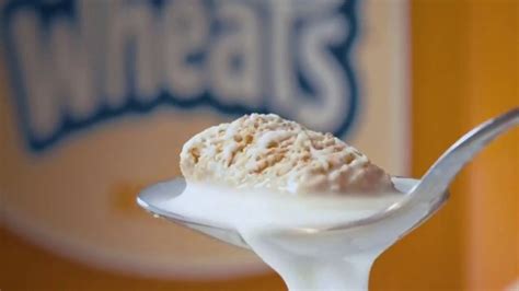 Frosted Mini-Wheats TV Spot, 'Just One Bowl'