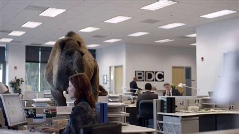 GEICO TV Spot, 'The Best of GEICO: Hump Day'