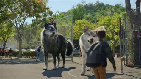 Great Wolf Lodge TV Spot, 'The Great Wolves Have Arrived' featuring Jordan James Smith
