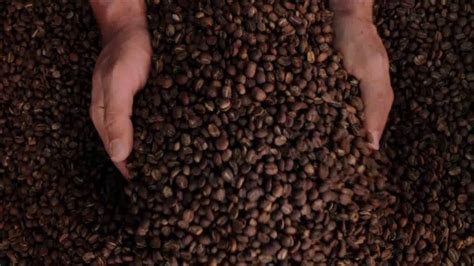 Green Mountain Coffee TV Spot, 'Coffee Sourcing' featuring Sean Crespo