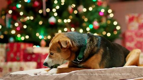 Greenies Canine Chews TV commercial - Christmas