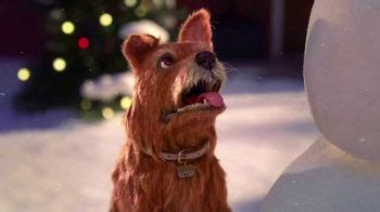 Greenies Dental Treats TV Spot, 'Holidays: Snowman'