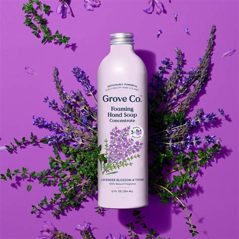 Grove Collaborative Lavender Blossom & Thyme Foaming Hand Soap Concentrate logo