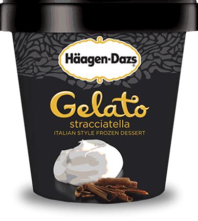 Häagen-Dazs Gelato Stracciatella