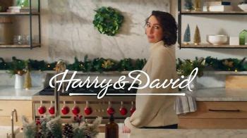 Harry & David TV commercial - Holidays: Small Batch, Gourmet, Delicious: Order by December 19th