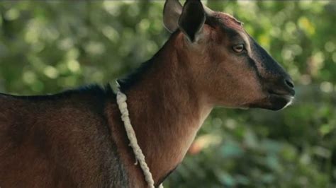 Heifer International TV Spot, 'Creating a World Without Hunger and Poverty'