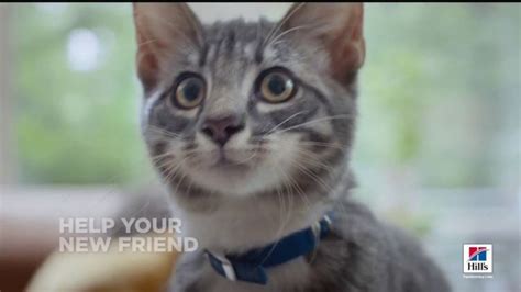 Hill's Pet Nutrition TV Spot, 'A Step Ahead: The Right Food' created for Hill's Pet Nutrition