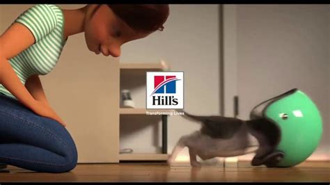 Hill's Pet Nutrition TV Spot, 'Moto: A Love Story'