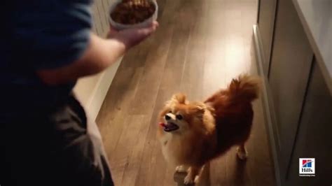 Hills Pet Nutrition TV commercial - Una mirada