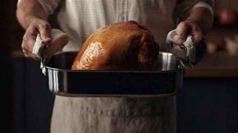 Hillshire Farm Oven Roasted Turkey Breast TV Spot, 'Cooking a Turkey'