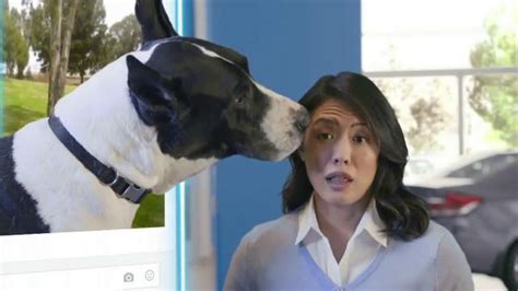 Honda Summer Clearance Event TV Spot, 'Great Danes' featuring Emily C. Chang