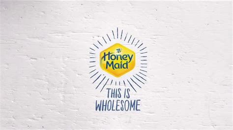 Honey Maid TV Spot, 'Little Brother' featuring Greg Tannen