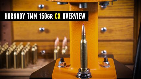 Hornady CX Bullets TV Spot, 'Hard-Hitting'