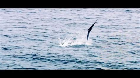 Huk Gear TV Spot, 'Numbers: Saltwater'