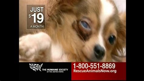 Humane Society TV Commercial For Rescue Animals Now created for Humane Society of the United States