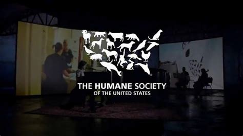 Humane Society TV commercial - Be a Hero