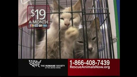 Humane Society TV Spot, 'Rescue Animals Now' Featuring Wendie Malick created for Humane Society of the United States